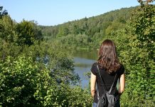 Wygoda ponad wszystko Wygoda ponad wszystko