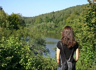 Wygoda ponad wszystko Wygoda ponad wszystko