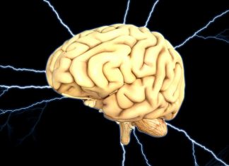 Szyszynka – charakterystyka, funkcje, choroby z nią połączone szyszynka