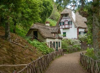 Wiata czy garaż z drewna