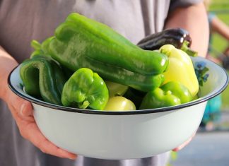 Jaka podłoga do kuchni ?