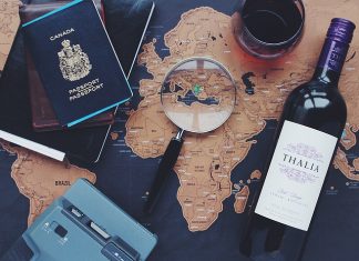 Żory – zielone oblicze śląskiego miasta