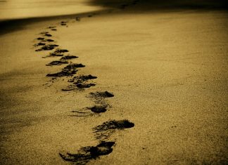 Praktyki za granicą