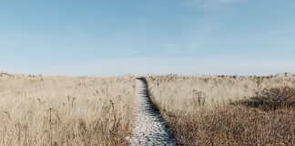 Domy studenckie na wakacje