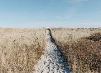 Domy studenckie na wakacje