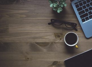 Jak sobie radzić z uciążliwymi ślimakami w ogrodzie? Jak sobie radzić z uciążliwymi ślimakami w ogrodzie?