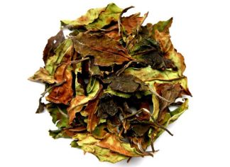 Biała herbata, czyli wszystko co powinieneś o nie wiedzieć! Biała herbata, czyli wszystko co powinieneś o nie wiedzieć!