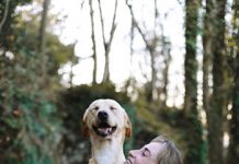 Chroń swojego psa przed kleszczami