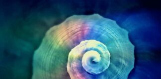 Jak płynnie skręcać?