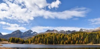 Kiedy używać stazy taktycznej?