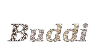 Jaki program OBD do BMW?