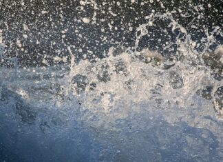 Czego nie Pryskać miedzianem? Czego nie Pryskać miedzianem?