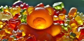 Jaka mieszanka paliwa do nożyc do żywopłotu?