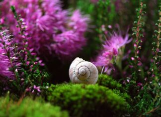 Gdzie stosuje się obudowy typu tower? Gdzie stosuje się obudowy typu tower?