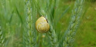 Czym uszczelnić złącze tłumika?