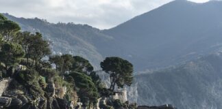 Ile kosztuje wymiana łącznika elastycznego wydechu?