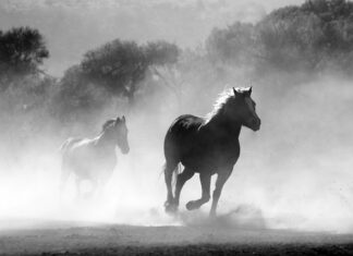Czy można palić bez deflektora?