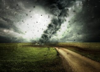 Ile kosztuje zmiana koloru wnętrza auta? Ile kosztuje zmiana koloru wnętrza auta?