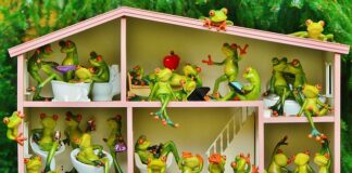 Jak się mówi na mieszkańców Finlandii?