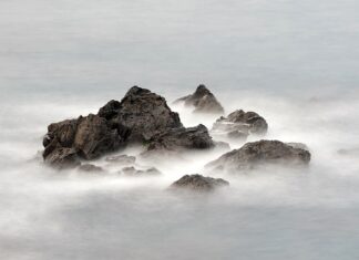 Jaki sekator teleskopowy do gałęzi? Jaki sekator teleskopowy do gałęzi?