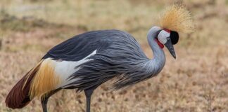 Jakie są sposoby ochrony przed hałasem?