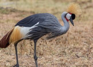 Jakie są sposoby ochrony przed hałasem? Jakie są sposoby ochrony przed hałasem?