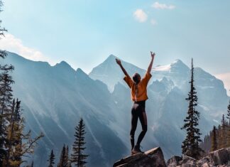 Co to są programy diagnostyczne? Co to są programy diagnostyczne?