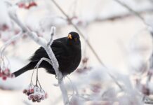 Co spowalnia działanie komputera? Co spowalnia działanie komputera?