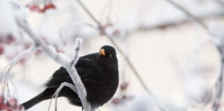 Co spowalnia działanie komputera?