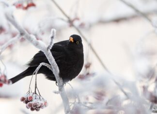 Co spowalnia działanie komputera? Co spowalnia działanie komputera?