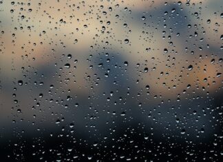 Jaka szyba do DL 650?