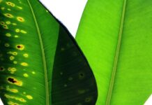 Jak porównać dwa komputery? Jak porównać dwa komputery?