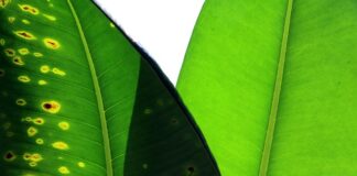 Jak porównać dwa komputery?