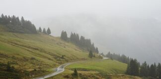 Po czym poznać krzywe tarcze hamulcowe?