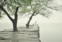 Czym się różni obrzeże od krawężnika? Czym się różni obrzeże od krawężnika?