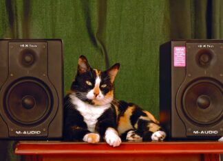 Co to jest deflektor w kosiarce?