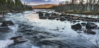 Dlaczego ściany śmierdzą po malowaniu?