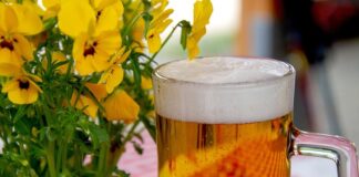 Jak oddzielić ogródek warzywny od trawnika?