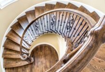 Kiedy przycinać żywopłot z bukszpanu? Kiedy przycinać żywopłot z bukszpanu?