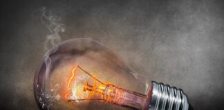 Jak smarować elektryczne nożyce do żywopłotu?