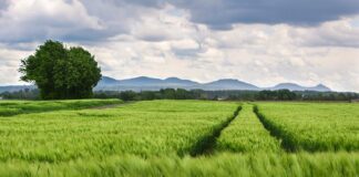 Co oznacza rozstaw śrub 5x100?