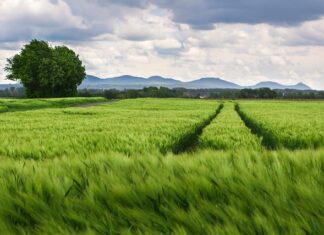 Co oznacza rozstaw śrub 5×100? Co oznacza rozstaw śrub 5x100?