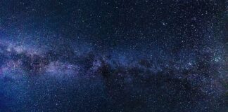 Czy SDPROG jest darmowy?