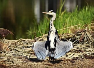 Czego nie wolno suszyć w suszarce? Czego nie wolno suszyć w suszarce?