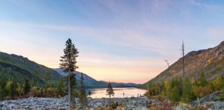 Czy Amol pomaga na szumy uszne?