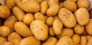 Jak obrać ziemniaki w Lidlomixie?