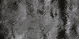 Ile ma nie padać po oprysku?