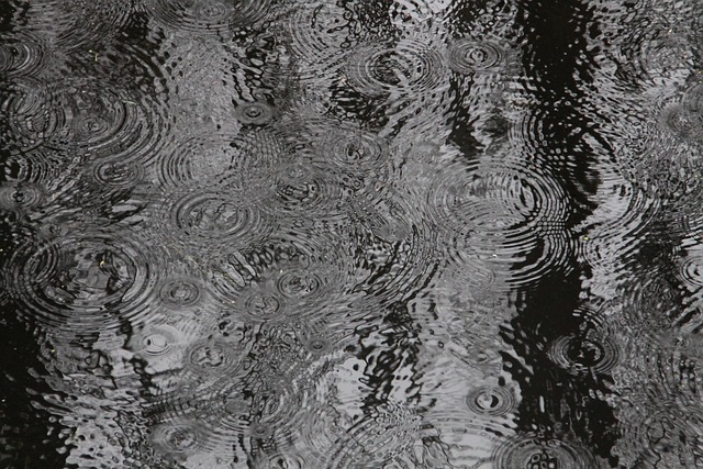 Ile ma nie padać po oprysku? Ile ma nie padać po oprysku?