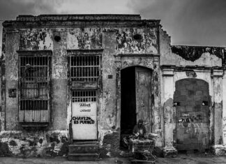 Czym pryskać pomidory i ogórki od zarazy? Czym pryskać pomidory i ogórki od zarazy?