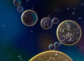 Ile oleju wchodzi do Orlando?